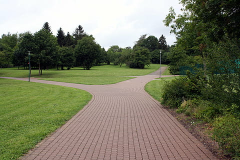 away-road-park-trees-thumbnail